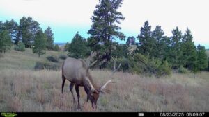 Property photo for land for sale in Yellowstone County Montana