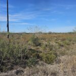 Property photo for land for sale in Jim Wells County Texas