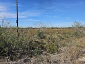 Property photo for land for sale in Jim Wells County Texas