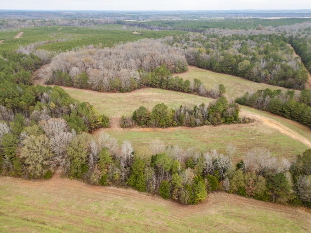 Property photo for land for sale in Clay County Mississippi
