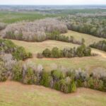 Property photo for land for sale in Clay County Mississippi
