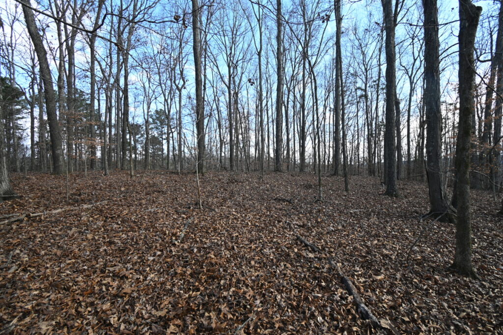 Property photo for land for sale in Perry County Tennessee