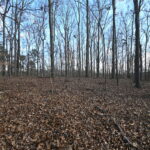 Property photo for land for sale in Perry County Tennessee