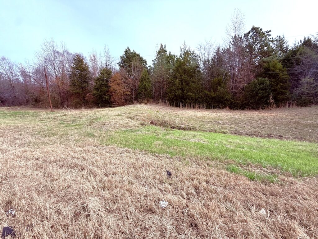 Property photo for land for sale in Wood County Texas