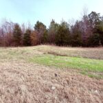 Property photo for land for sale in Wood County Texas