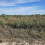 Property photo for land for sale in Jim Wells County Texas