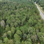 Property photo for land for sale in La Salle County Louisiana