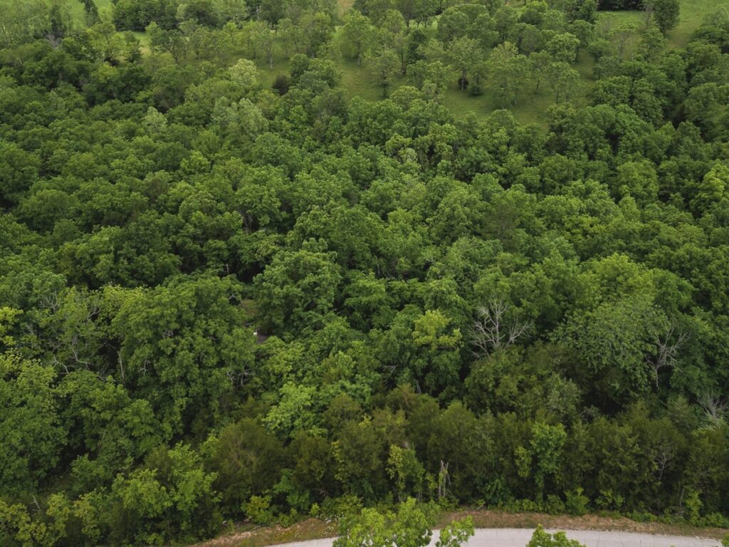 Property photo for land for sale in Ozark County Missouri