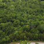 Property photo for land for sale in Ozark County Missouri