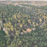 Property photo for land for sale in Union County Arkansas