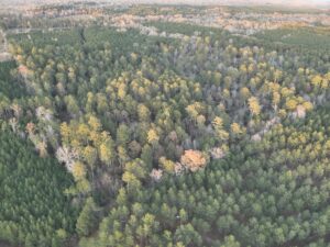 Property photo for land for sale in Union County Arkansas