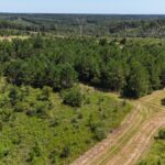 Property photo for land for sale in Autauga County Alabama
