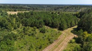 Property photo for land for sale in Autauga County Alabama