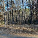 Property photo for land for sale in Benton County Arkansas