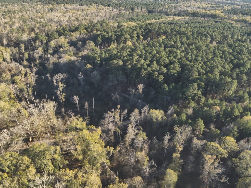 Property photo for land for sale in Calhoun County Arkansas