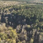 Property photo for land for sale in Calhoun County Arkansas