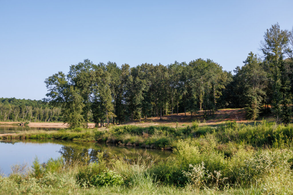 Property photo for land for sale in Smith County Texas