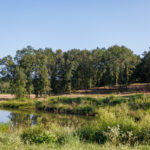 Property photo for land for sale in Smith County Texas