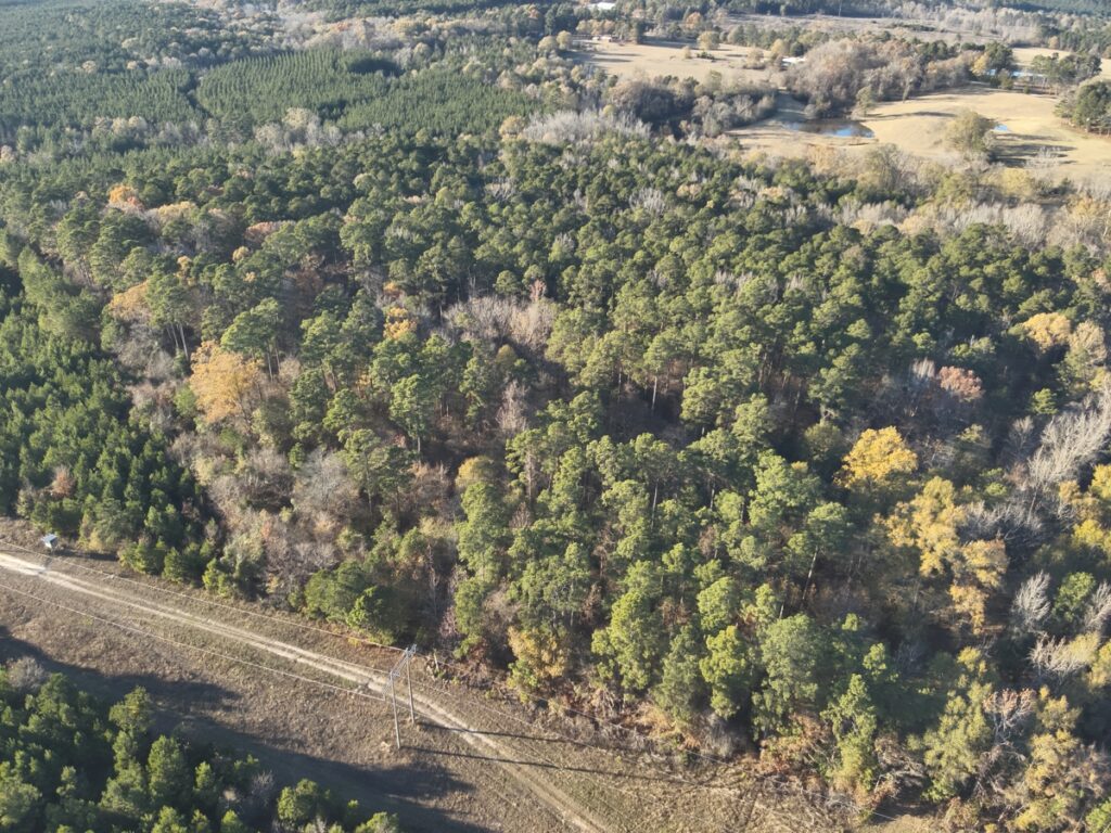 Property photo for land for sale in Columbia County Arkansas