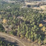 Property photo for land for sale in Columbia County Arkansas