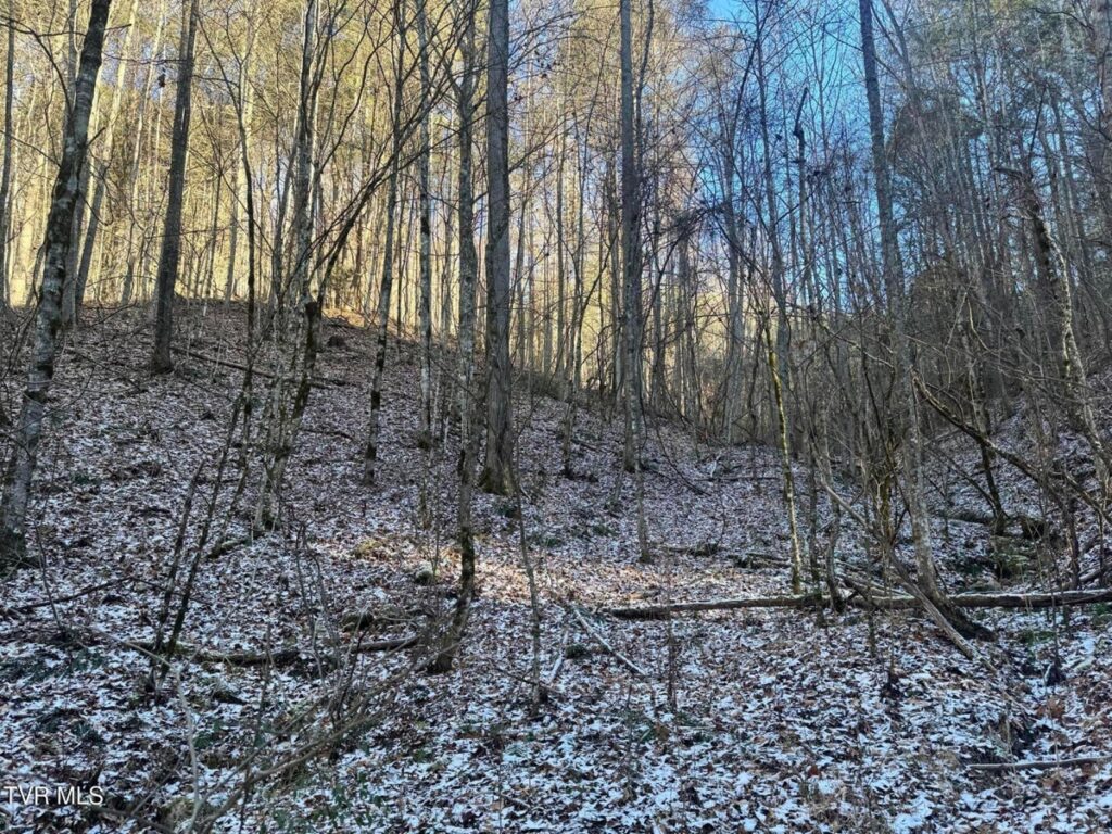 Property photo for land for sale in Unicoi County Tennessee