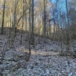 Property photo for land for sale in Unicoi County Tennessee