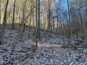 Property photo for land for sale in Unicoi County Tennessee