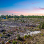 Property photo for land for sale in Lafayette County Florida