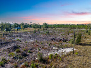 Property photo for land for sale in Lafayette County Florida