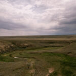 Property photo for land for sale in Phillips County Montana