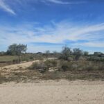 Property photo for land for sale in Jim Wells County Texas