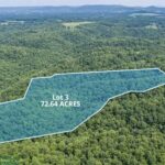 Property photo for land for sale in Clinton County Kentucky