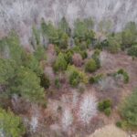 Property photo for land for sale in Halifax County Virginia