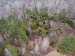 Property photo for land for sale in Halifax County Virginia
