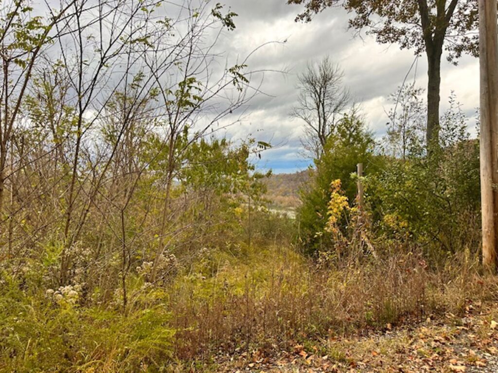 Property photo for land for sale in Jackson County Tennessee