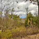 Property photo for land for sale in Jackson County Tennessee