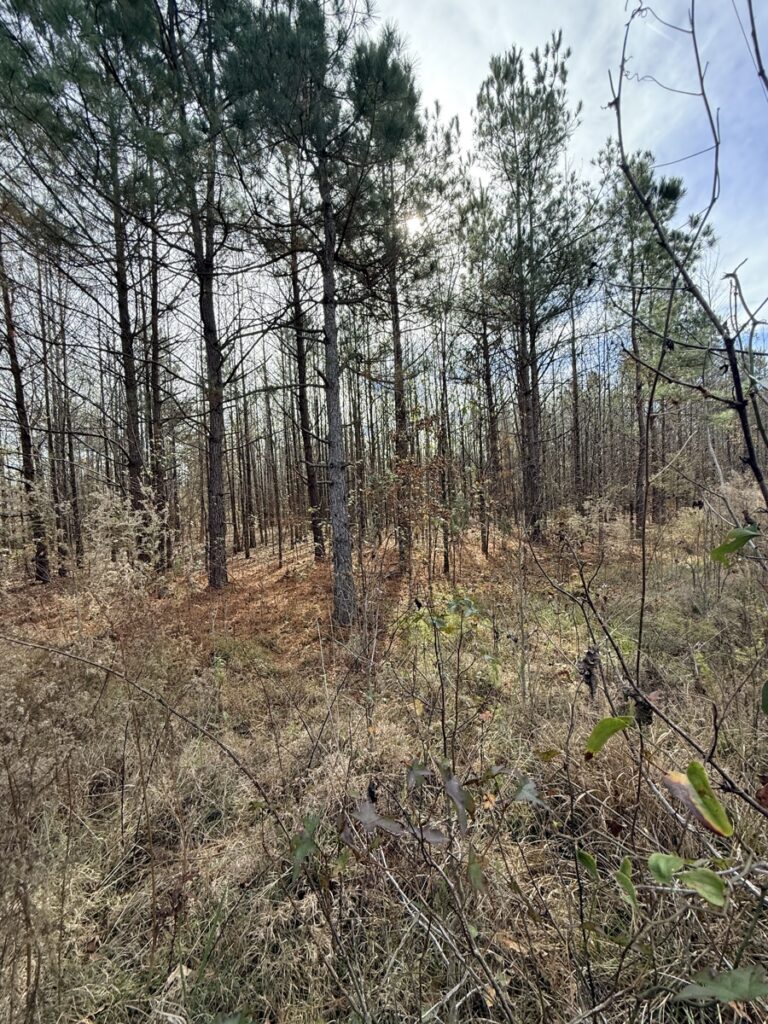 Property photo for land for sale in Lincoln County Arkansas