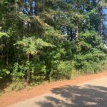 Property photo for land for sale in Bowie County Texas