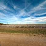 Property photo for land for sale in Beckham County Oklahoma