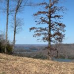 Property photo for land for sale in Clay County Tennessee
