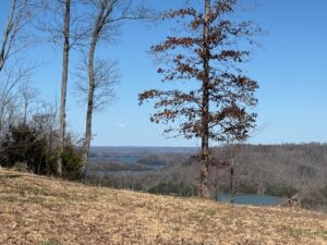 Property photo for land for sale in Clay County Tennessee