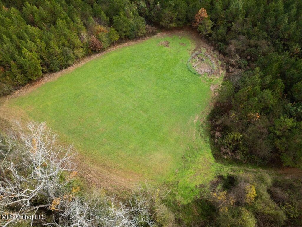 Property photo for land for sale in Amite County Mississippi