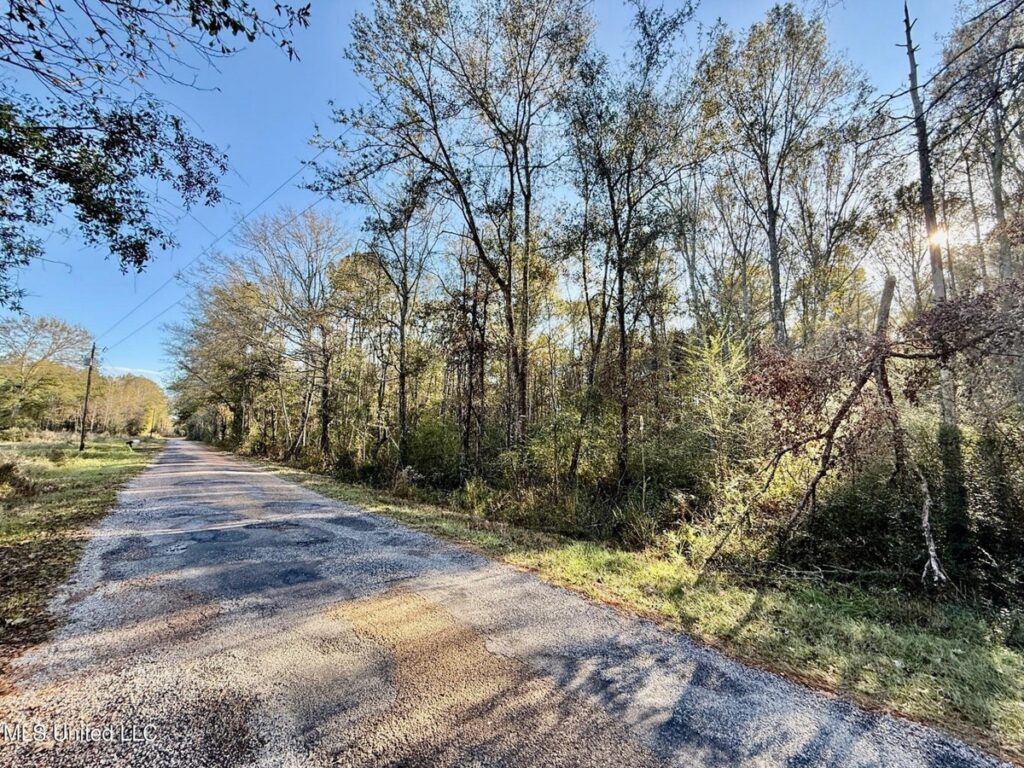 Property photo for land for sale in Lincoln County Mississippi