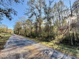 Property photo for land for sale in Lincoln County Mississippi