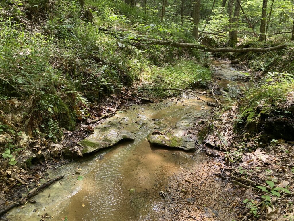 Property photo for land for sale in Hardin County Tennessee
