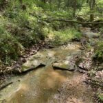 Property photo for land for sale in Hardin County Tennessee