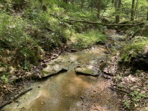 Property photo for land for sale in Hardin County Tennessee