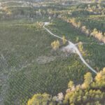 Property photo for land for sale in Union County Arkansas