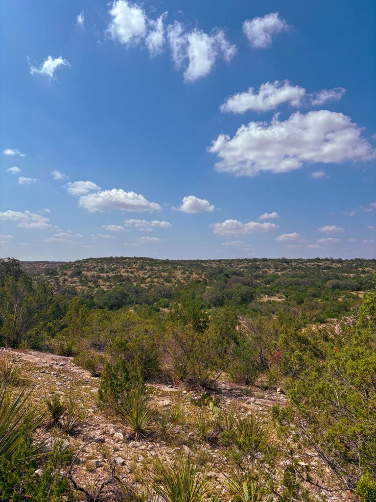 Property photo for land for sale in Val Verde County Texas