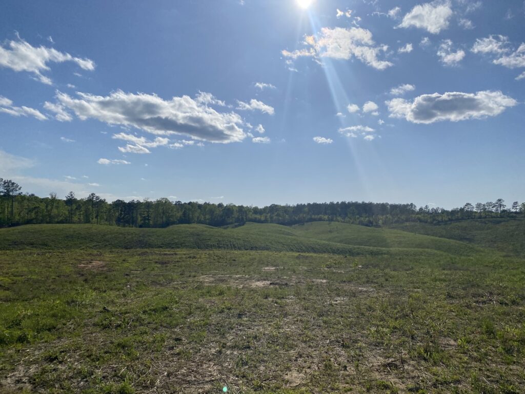 Property photo for land for sale in McNairy County Tennessee